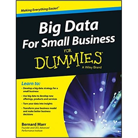 Big Data For Small Business For Dummies