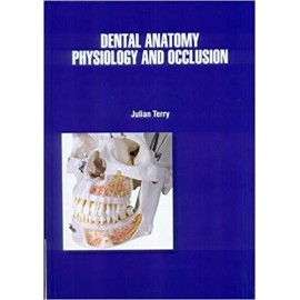 Dental Anatomy Physiology And Occlusion