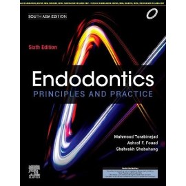 Endodontics Principles And Practice, 6e