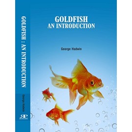 Goldfish : An Introduction