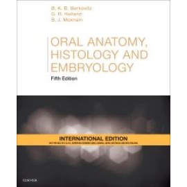 Oral Anatomy Histology And Embryology 