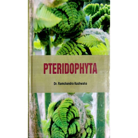 Pteridophyta